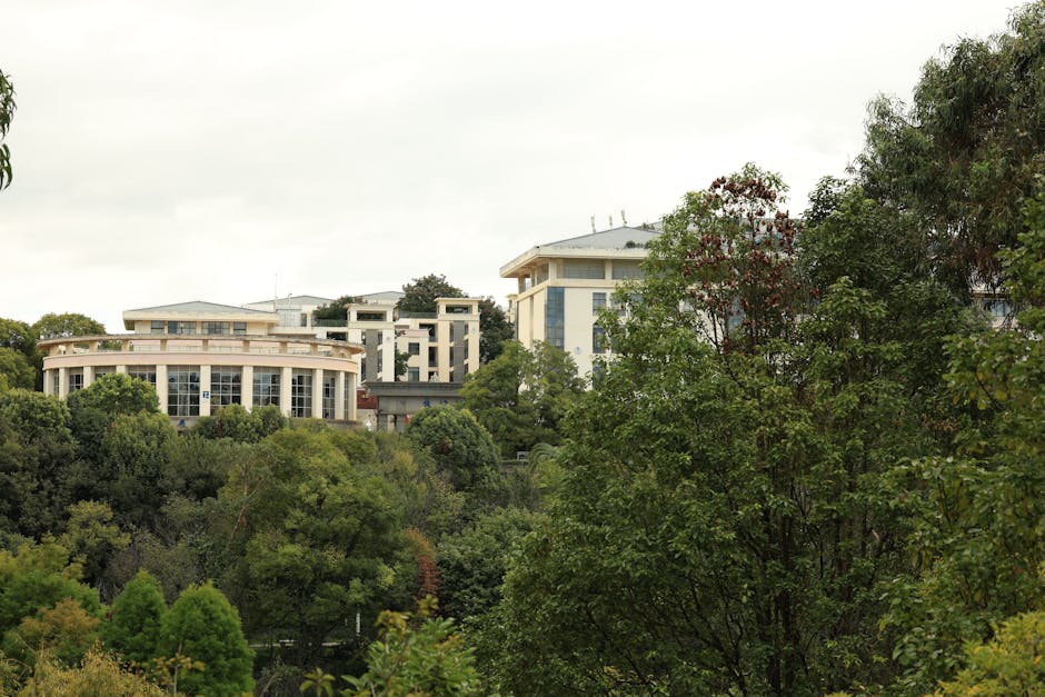 A scenic view of contemporary campus buildings amid lush greenery under an overcast sky.
